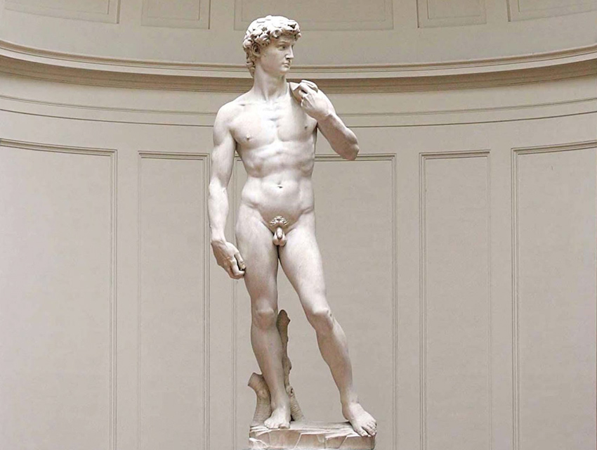 david